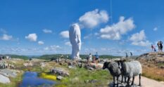 Skulptur i Pilane - Magnifika skulpturer på Pilane gravfält