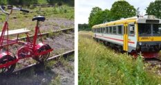 Trampa dressin i Bengtsfors - Kul utflykt om ni ska svemestra i Dalsland